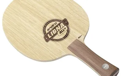 Andro Ligna All+ Blade