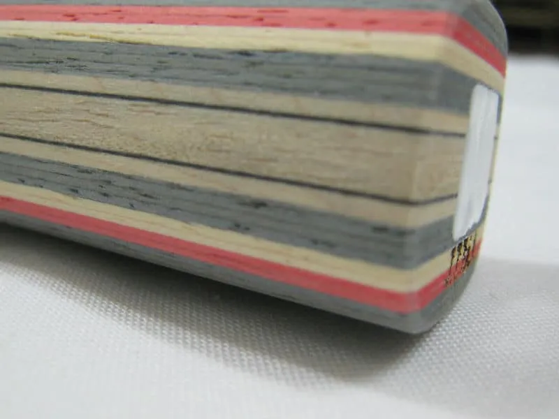 Butterfly Primorac Carbon Review