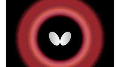 The 8 Best Butterfly Rubbers