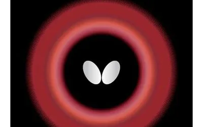 The 8 Best Butterfly Rubbers