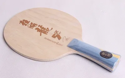 The 11 Best Ping Pong Paddles of 2026
