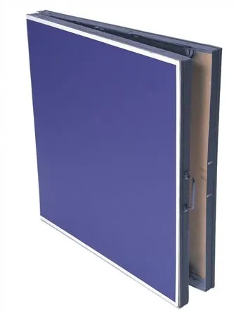 Mini Table Tennis Table