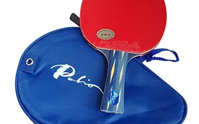 Palio Table Tennis Bats: A Complete Guide