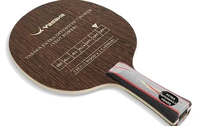 Choosing New Table Tennis Blade and Rubbers