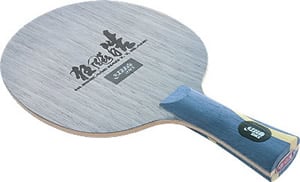 DHS Hurricane HAO Review