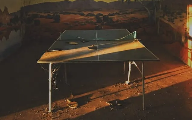 how to clean a ping pong table