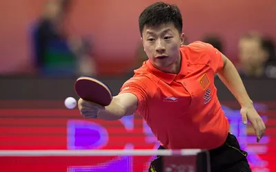 Ma Long Paddle: What Blade and Rubbers Does He Use?