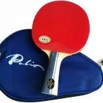 palio table tennis bat