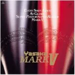 best table tennis rubbers